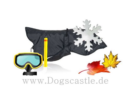 Fühling - Sommer - Herbst - Winter - Hunde - Bekleidung