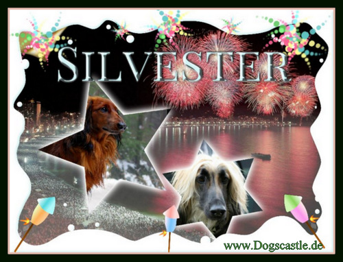 Silvester mit Hund - jedes Jahr das leidige Thema. Möglich, dass Sie hier Anregungen finden wie Silverster etwas angenehmer wird mit Ihrem Windhund. 