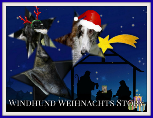 Windhund Weihnachts Story